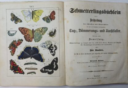 Schmetterlingsbüchlein oder Beschreibung der schönsten und schädlichsten Tag-. Dämmerungs- und Nachtfalter. 4