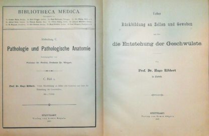 Ueber Rückbildung an Zellen und Geweben und über die Entstehung der Geschwülste [Bibliotheca Medica, Abt. C. Heft 9]. – Bild 2