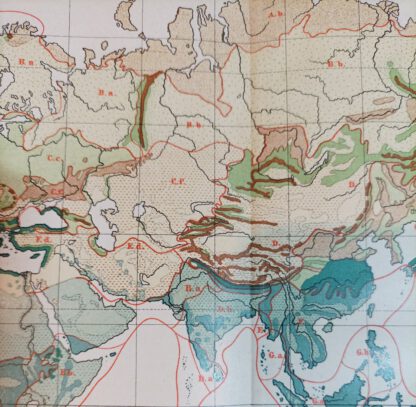 Historische Karte – Verbreitung der wichtigsten Pflanzengruppen der Erde – Lithographie 1890 [1 Blatt]. 2