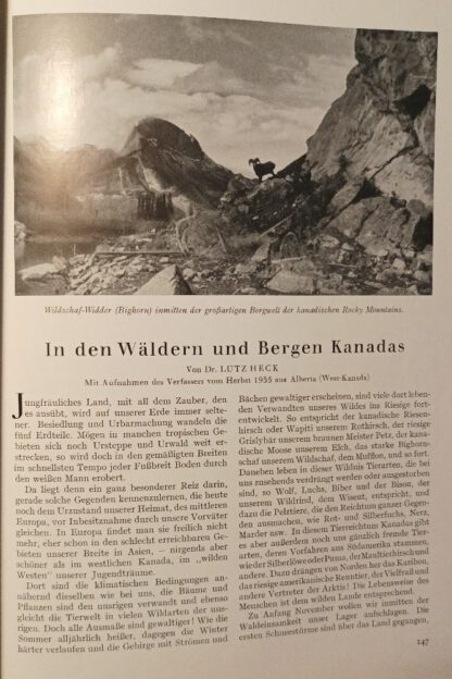 Atlantis – Länder / Völker / Reisen VIII. Jahrgang 1936 Heft 3-11 [9 Hefte]. 3