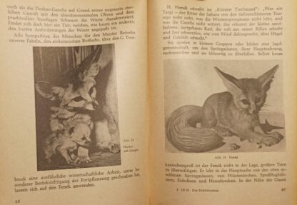 Eichhörnchen, Murmeltier und Wüstenfuchs [Lehrmeister-Bücherei Nr. 25]. 2