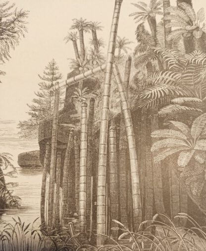 Pflanzen der Keuperformation – Holzstich 1876 [1 Blatt]. 2