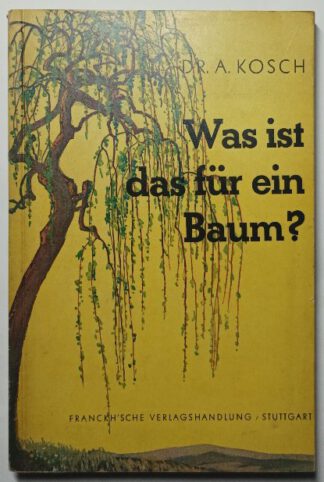 Was ist das für ein Baum?