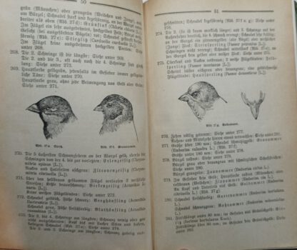 Taschenbuch zum Vogelbestimmen – Praktische Anleitung zur Bestimmung unserer Vögel in freier Natur. 3