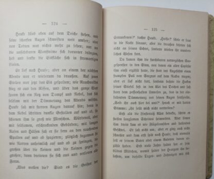 Theodor Storm´s gesammelte Schriften Band 19 – Ein Bekenntnis – Der Schimmelreiter. 4