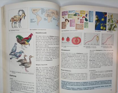 Lebendige Welt – Biologie 2 H / R – ab 7. Schuljahr. 3