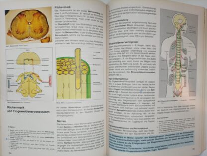 Lebendige Welt – Biologie 2 H / R – ab 7. Schuljahr. 4