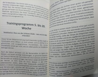 Unser Welpe zieht ein - Hundeerziehung und Welpentraining für Einsteiger. – Bild 3