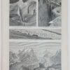 Historischer Druck – Gletscher II und III – Holzstich 1895 [1 Blatt].