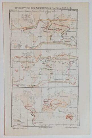 Historischer Druck – Verbreitung der wichtigsten Haussäugetiere – Lithographie 1897 [1 Blatt].