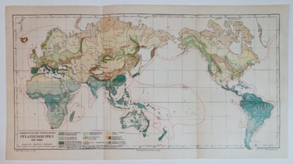 Historische Karte – Verbreitung der wichtigsten Pflanzengruppen der Erde – Lithographie 1890 [1 Blatt].