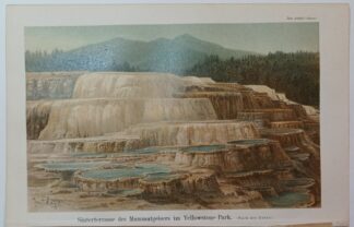 Historischer Druck – Sinterterrasse des Mammutgeisers im Yellowstone-Park – Chromolithographie 1895 [1 Blatt].