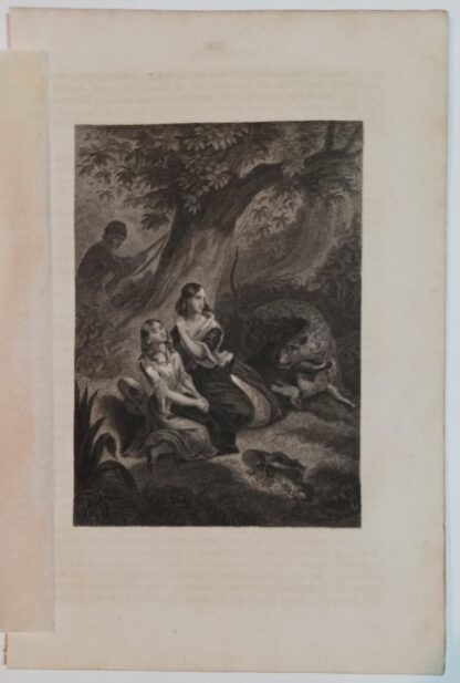 Szene aus Lederstrumpf-Erzählungen von James Fenimore Cooper V – Stahlstich 1864.