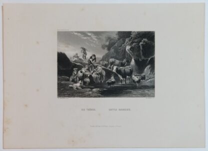 Die Tränke – Cattle Drinking – Stahlstich 1871.